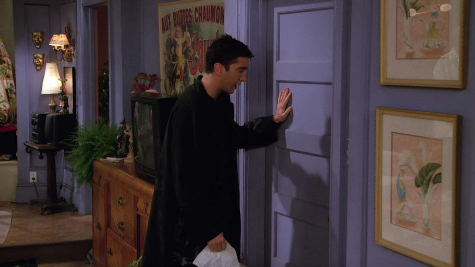 farvede paneler cz zh Ross i episoden "The one with the list"